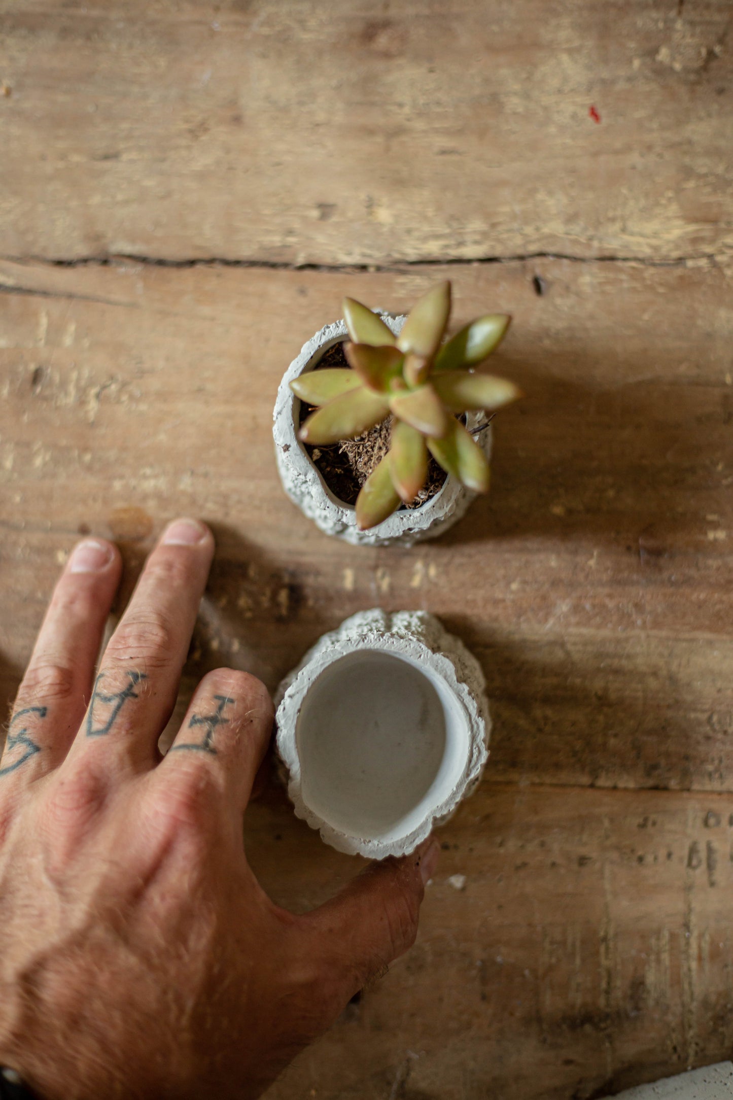 Nature Inspired Concrete Succulent Planter