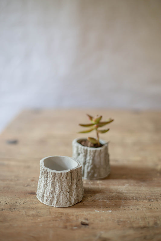 Nature Inspired Concrete Succulent Planter